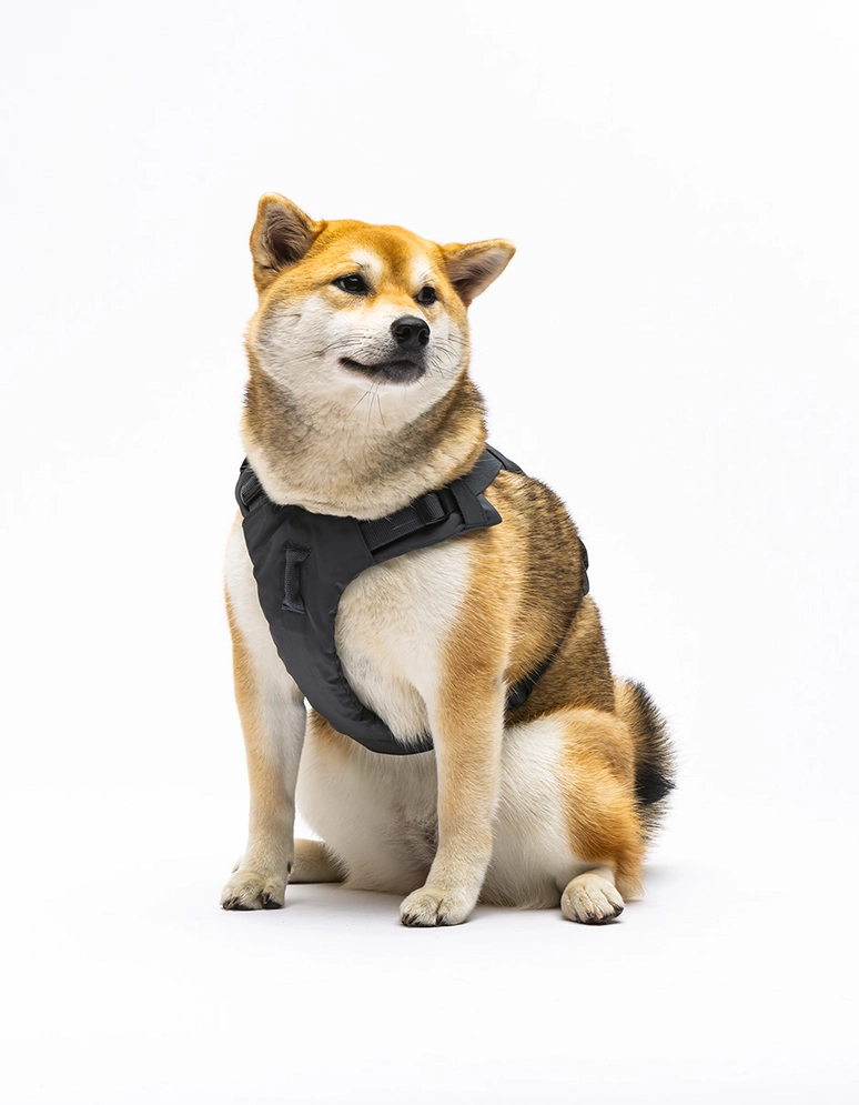 United Pets Citylife pehme H-kujuline koeratraks
