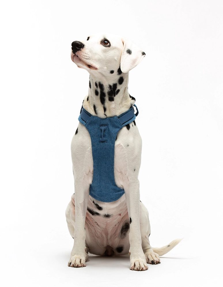 United Pets pehme polsterdatud koeratraks – Jeans